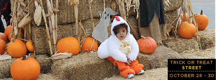 Don't be chicken — Halloween is fun! - CHILDREN'S MUSEUM OF DENVER AT MARSICO CAMPUS FACEBOOK PAGE
