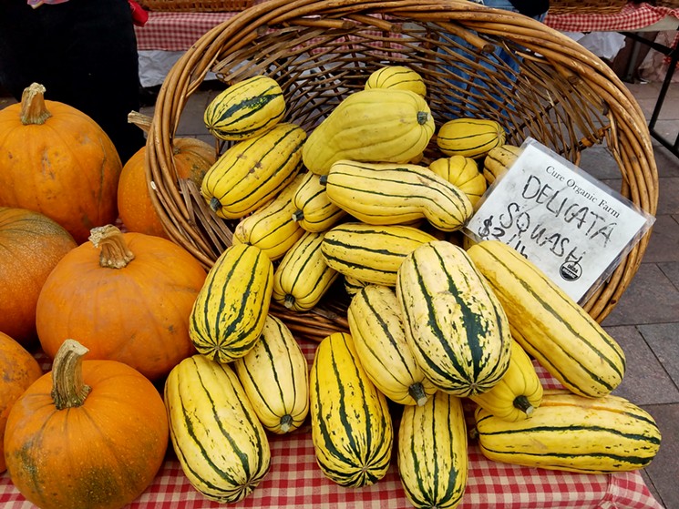 Delicata squash and pumpkins at Cure Organic Farm. - LINNEA COVINGTON