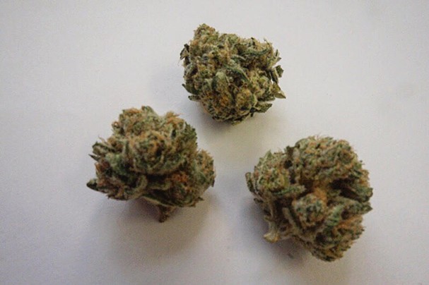 Rebel against the smell of dog food, and represent with Commerce City Kush. - HERBERT FUEGO