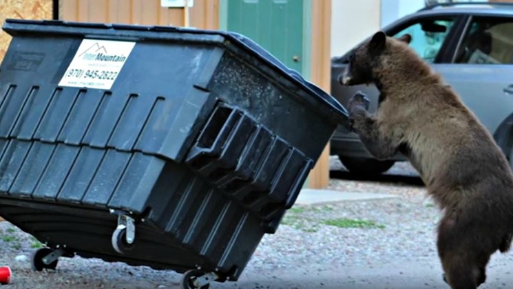 Improper disposal of trash in mountain locations is a significant lure for bears. - COLORADO PARKS AND WILDLIFE VIA YOUTUBE