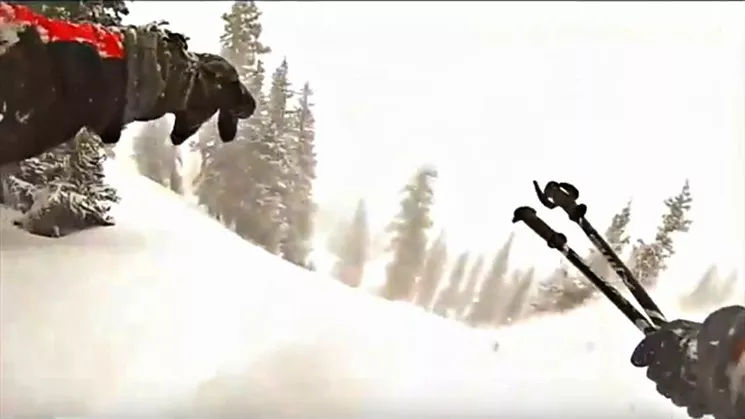 The backcountry skiing spot known as Sam's Trees, where the fatal avalanche took place. - YOUTUBE FILE PHOTO