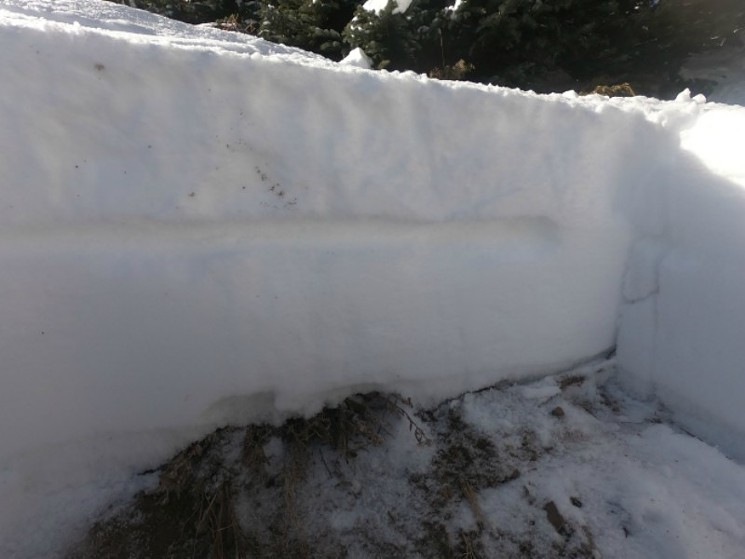 This photo conveys the depth of the snow in the avalanche area. - COLORADO AVALANCHE INFORMATION CENTER