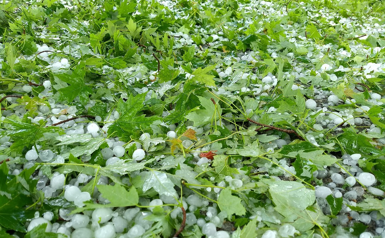 A spring hail that caused damage at Aspen Moon Farm.