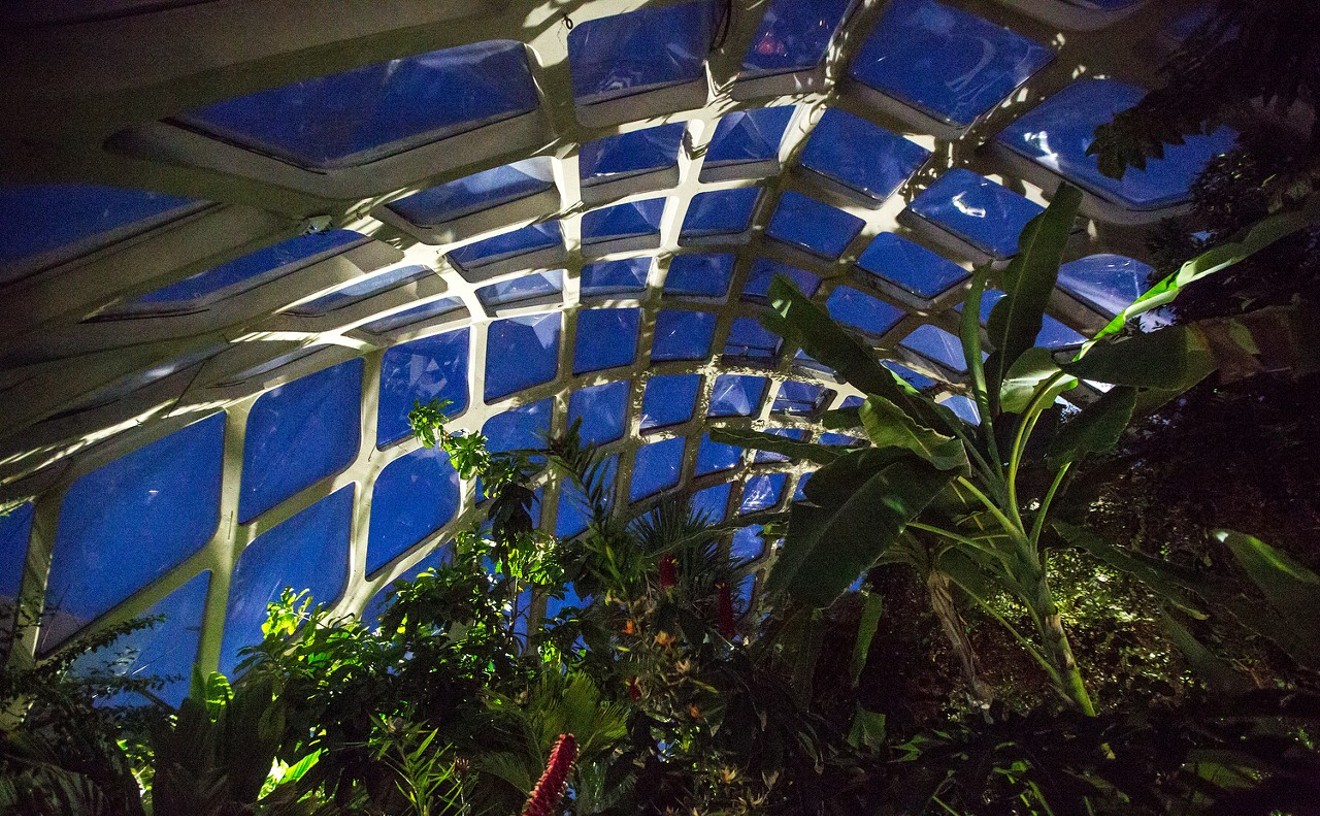 Inside the Boettcher Memorial Tropical Conservatory at Denver Botanic Gardens.