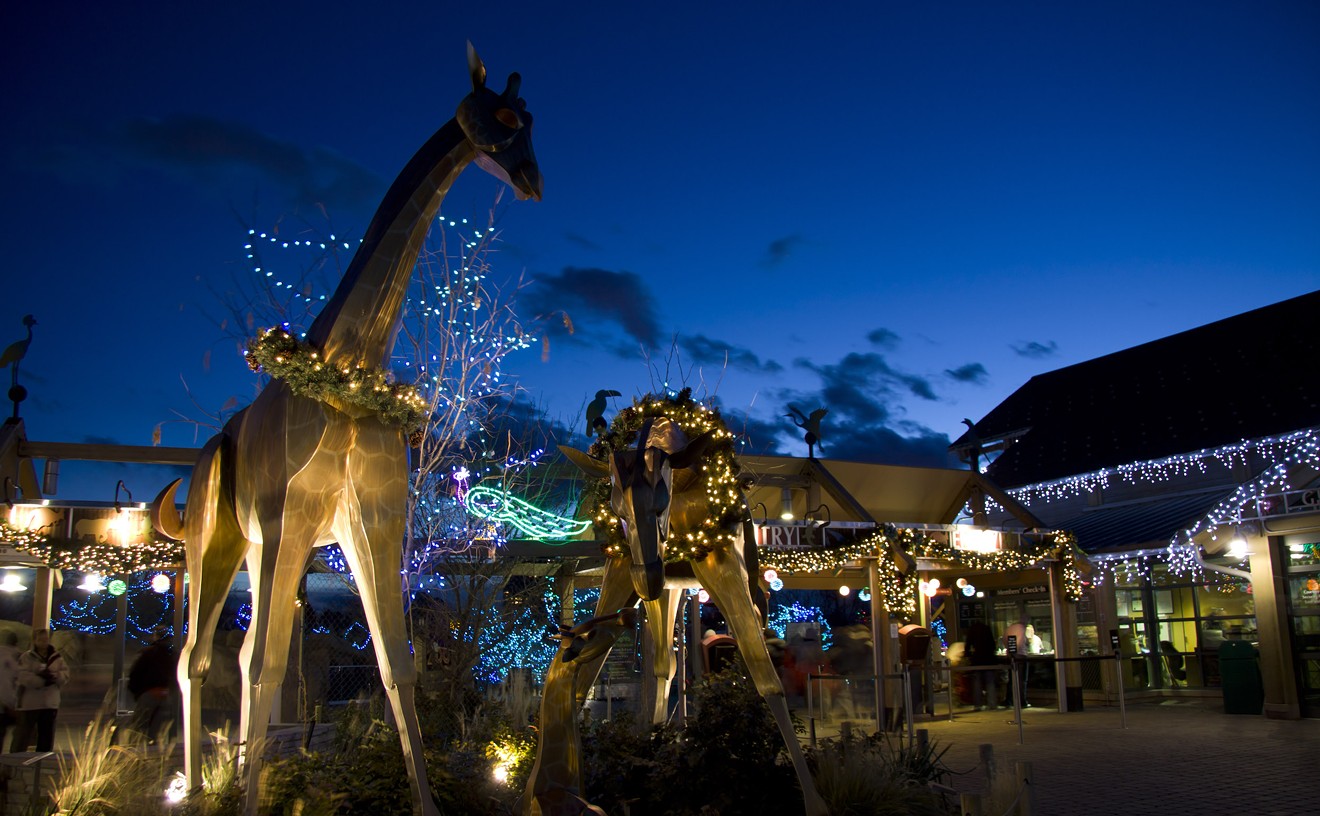 Zoo Lights continues until January 9.