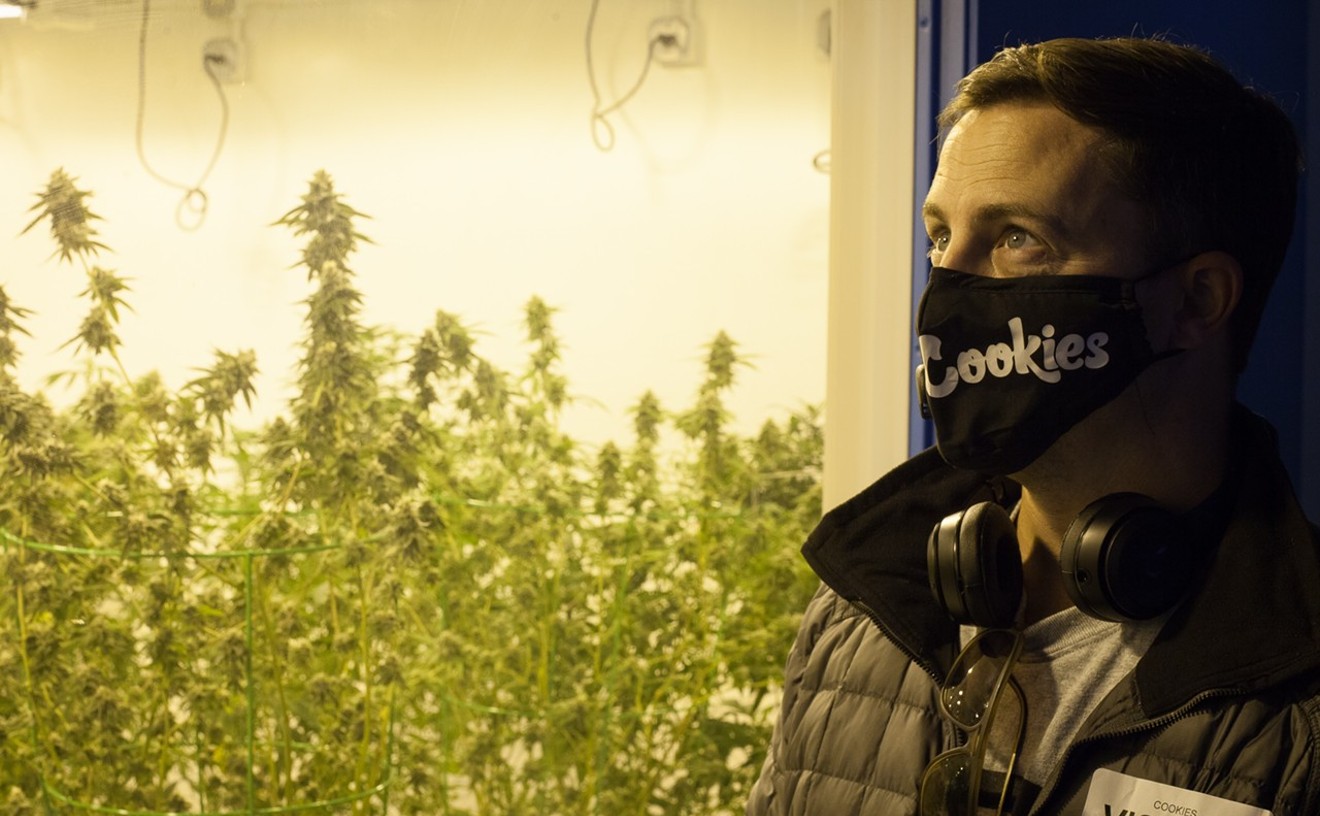 A visitor inside Denver's new Cookies dispensary gazes upon the store's supplying cultivation.