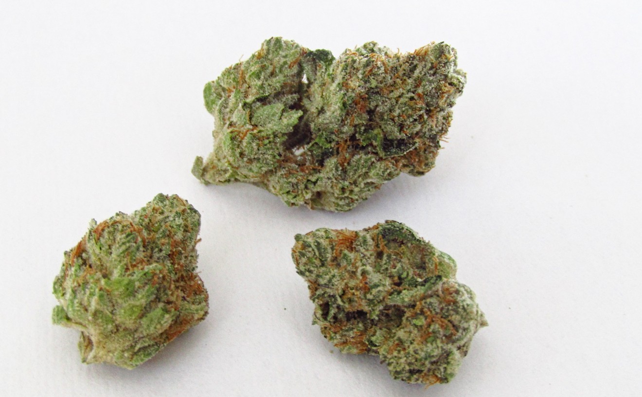 GMO Zkittlez doesn't bring every flavor on the rainbow, but it's still a tasty strain.