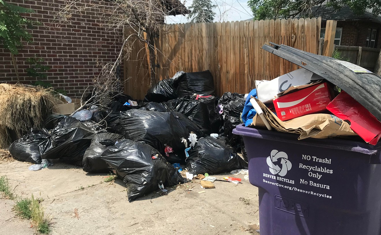 This pile of trash behind a residence in the Skyland neighborhood attracted rats and raccoons for weeks.