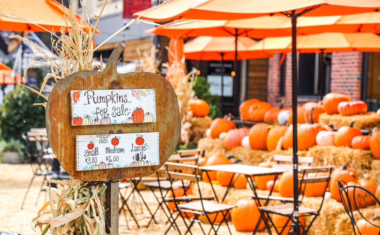 The annual pumpkin patch at Little Man Ice Cream.