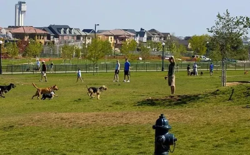 Best Dog Park 2014 Westminster Hills Dog Park Best of Denver