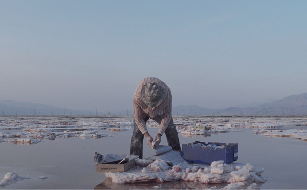 Mimesis Continues a Legacy of Avant-Garde Documentary Filmmaking