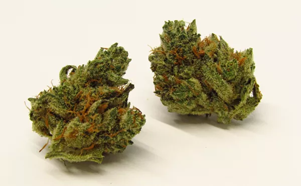 Why Colorado Tokers Love Romulan