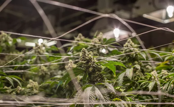 Proof of Lawful Residence No Longer Required to Own Denver Marijuana Business