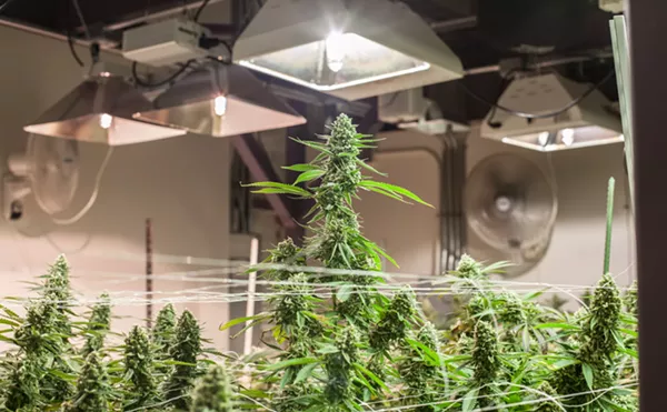 Ask a Stoner: Should I Trust Terpene Testing Numbers?