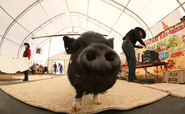 Ten More Things to Do in Denver This Weekend