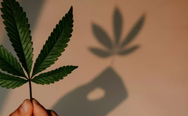 CU Study on Thousands of Twins Dispels Cannabis Gateway Drug Theory