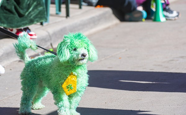 Denver Goes Green for 61st St. Patrick's Day Parade