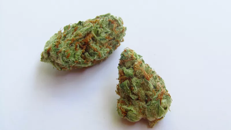 Garlic Juice Strain Review Westword