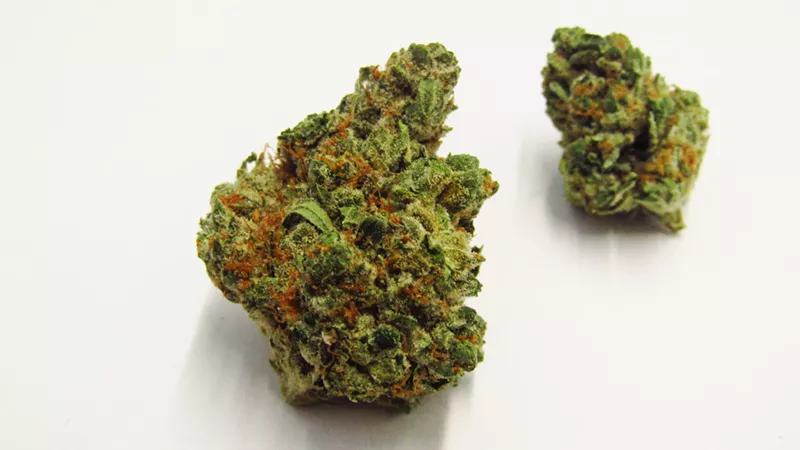 Brandywine Strain Review Westword