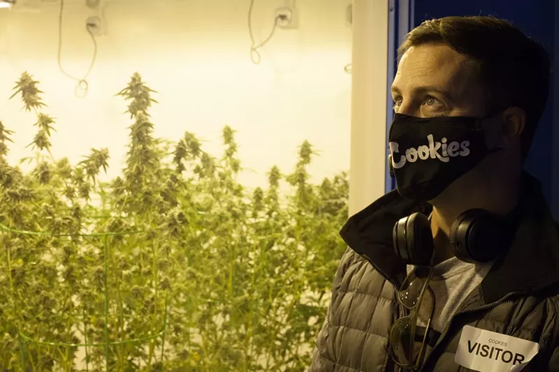 Most Popular Denver Marijuana Stories of 2020 in Westword Westword