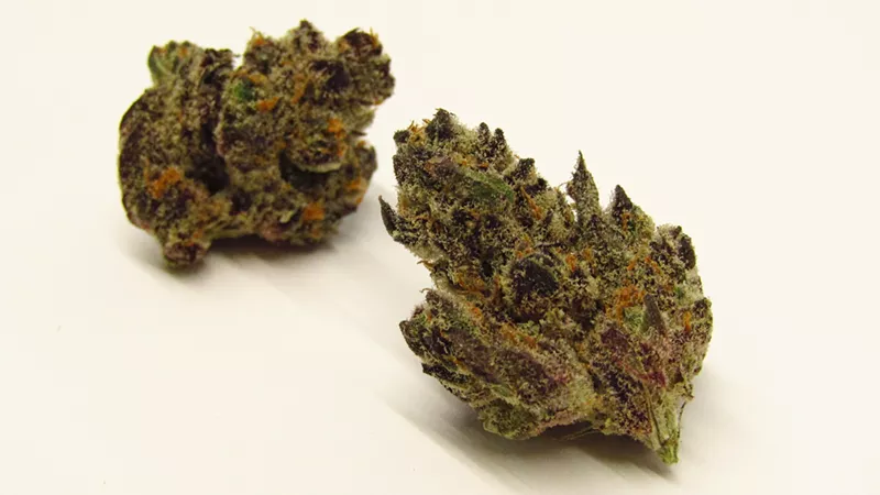 Blood Orange Strain Review | Westword