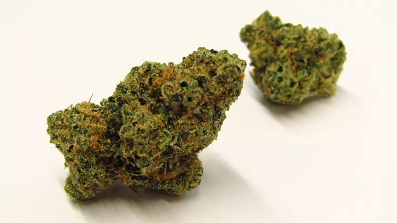 Marshmallow OG Strain Review Westword