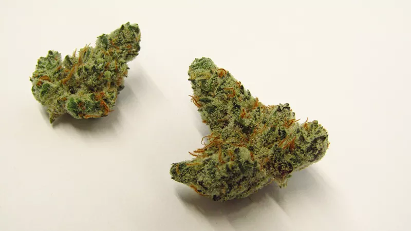 Mint Smash Strain Review Westword