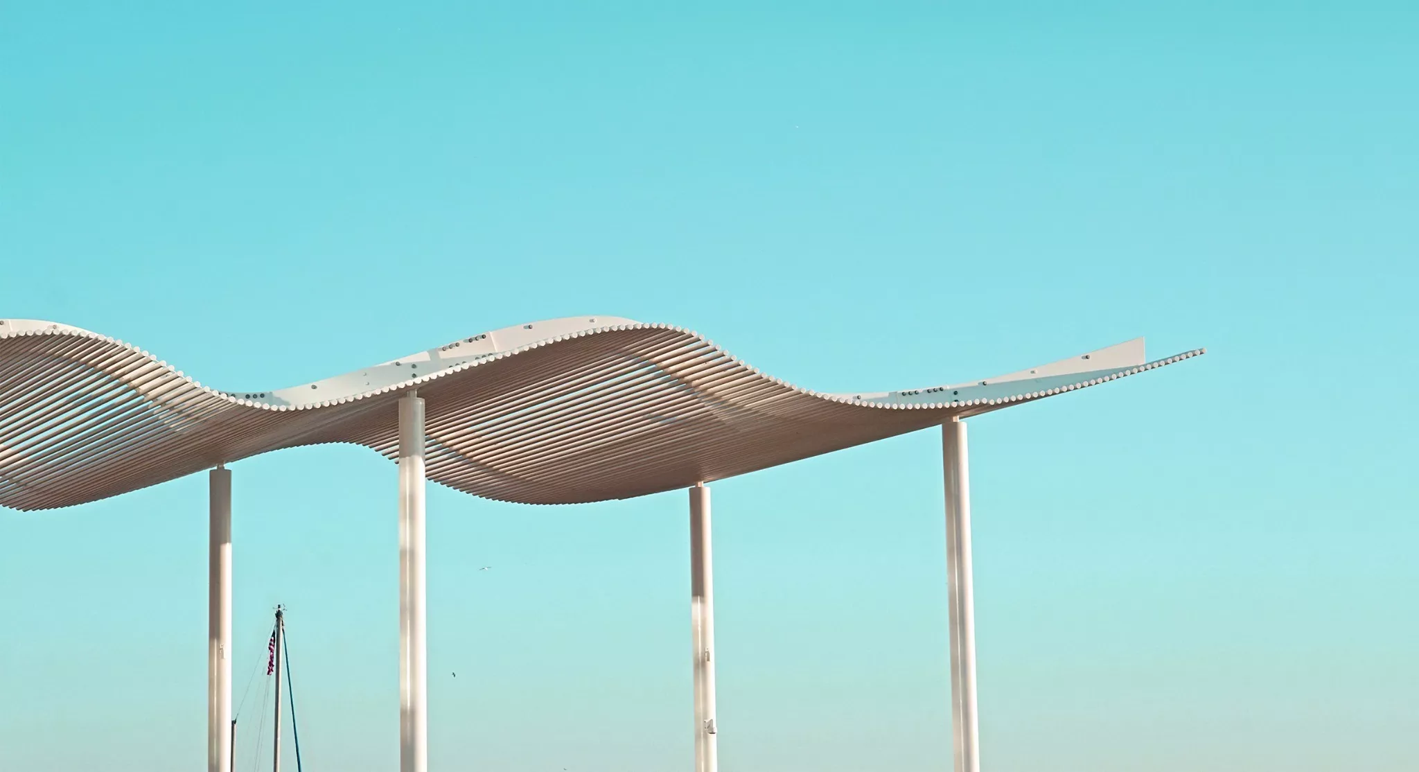 Things to Do Denver Art Openings and Gallery Events January 23 to 29