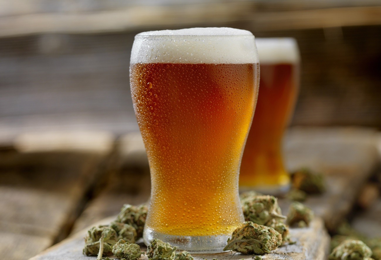 Colorado Brewery, Marijuana Grower Recycle CO2 to Save Trees, Grow