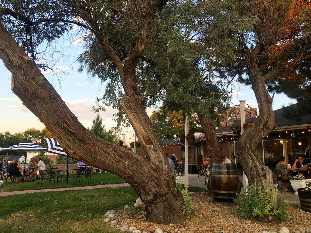 Outdoor dining at Roots in Broomfield.