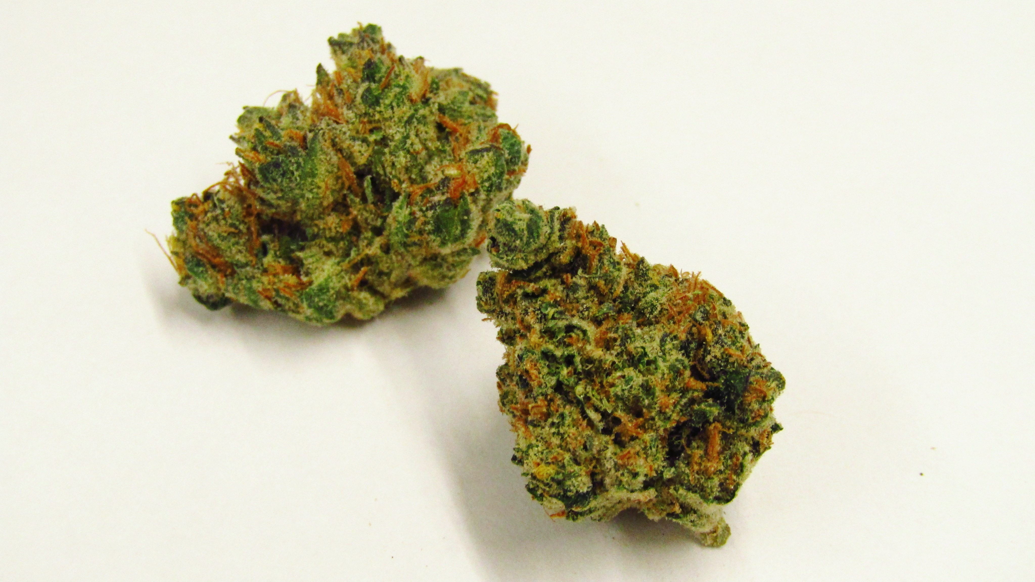 Exotic Weed Reviews | Discover The Best Weed Strains Of 2023