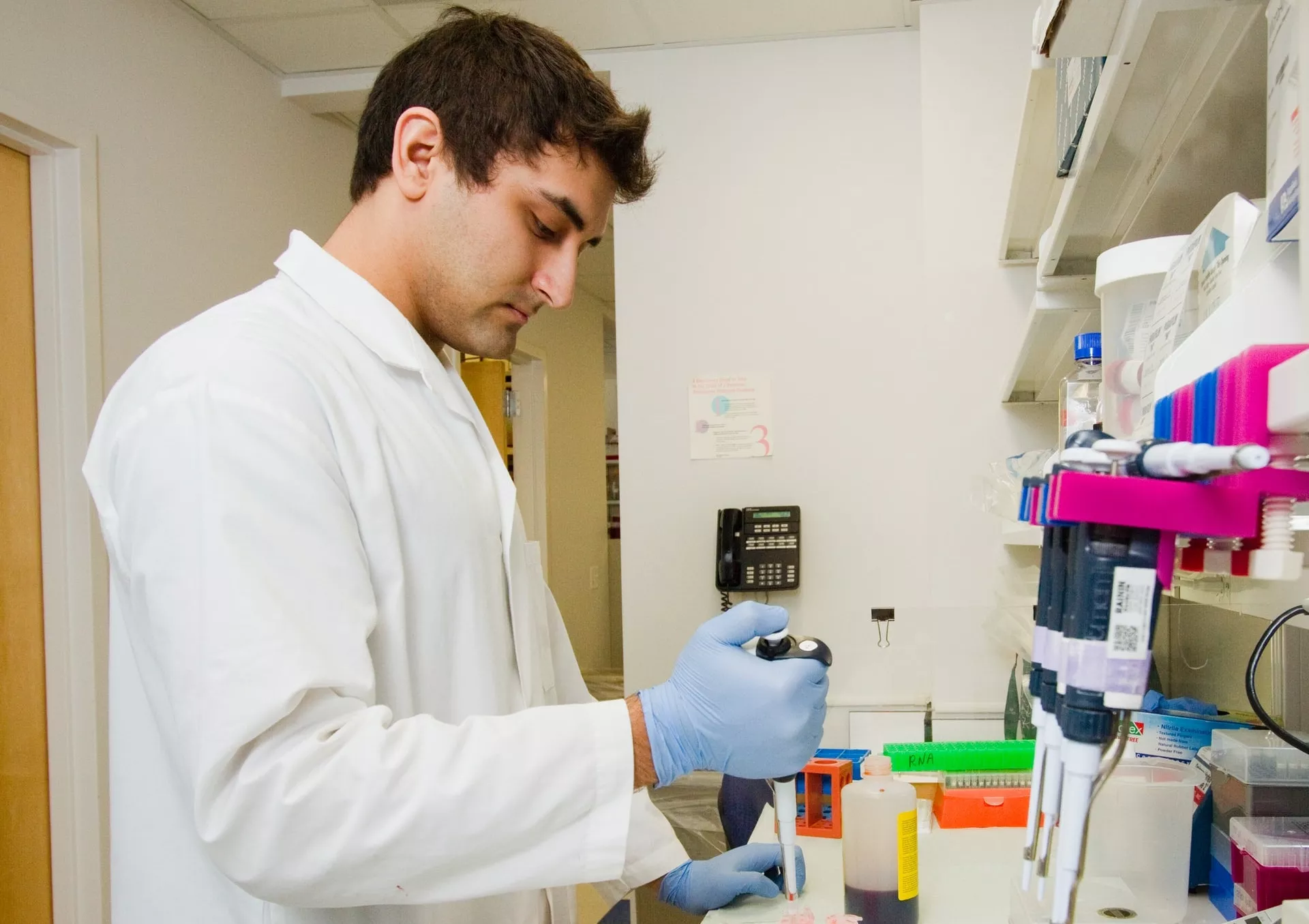 FalsePositive THC Drug Tests Are but Can Come From a Variety