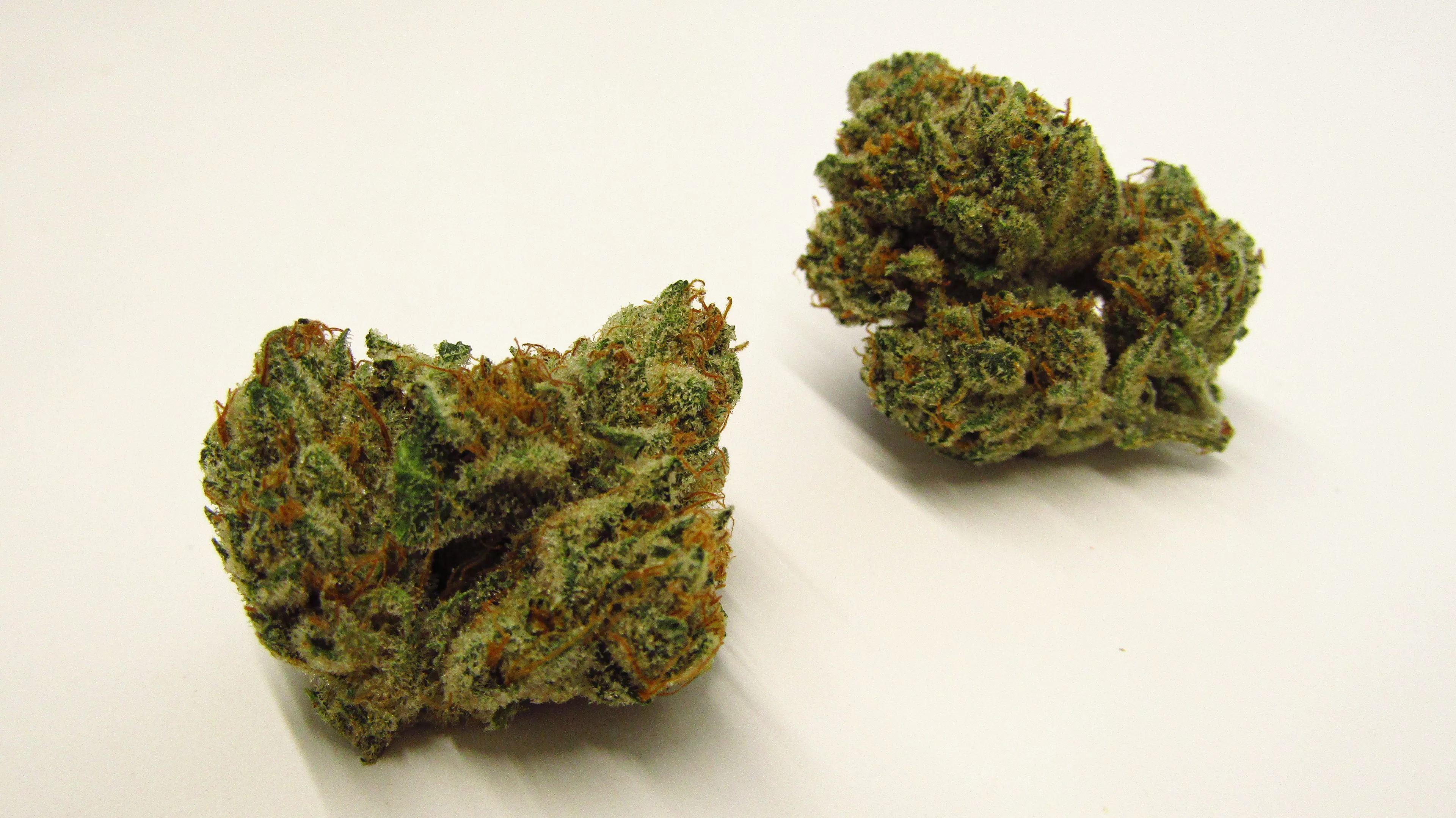 Cannabis & Onlyfans:  A Forbidden Paradise? - d5dc4fm