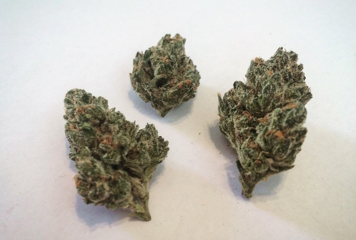 Race Fuel OG will take you to a new gear of stoned.