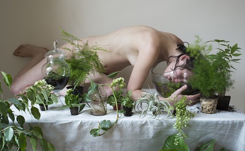 Kristen Hatgi Sink's "Potted Plant Life" at Art Gym.