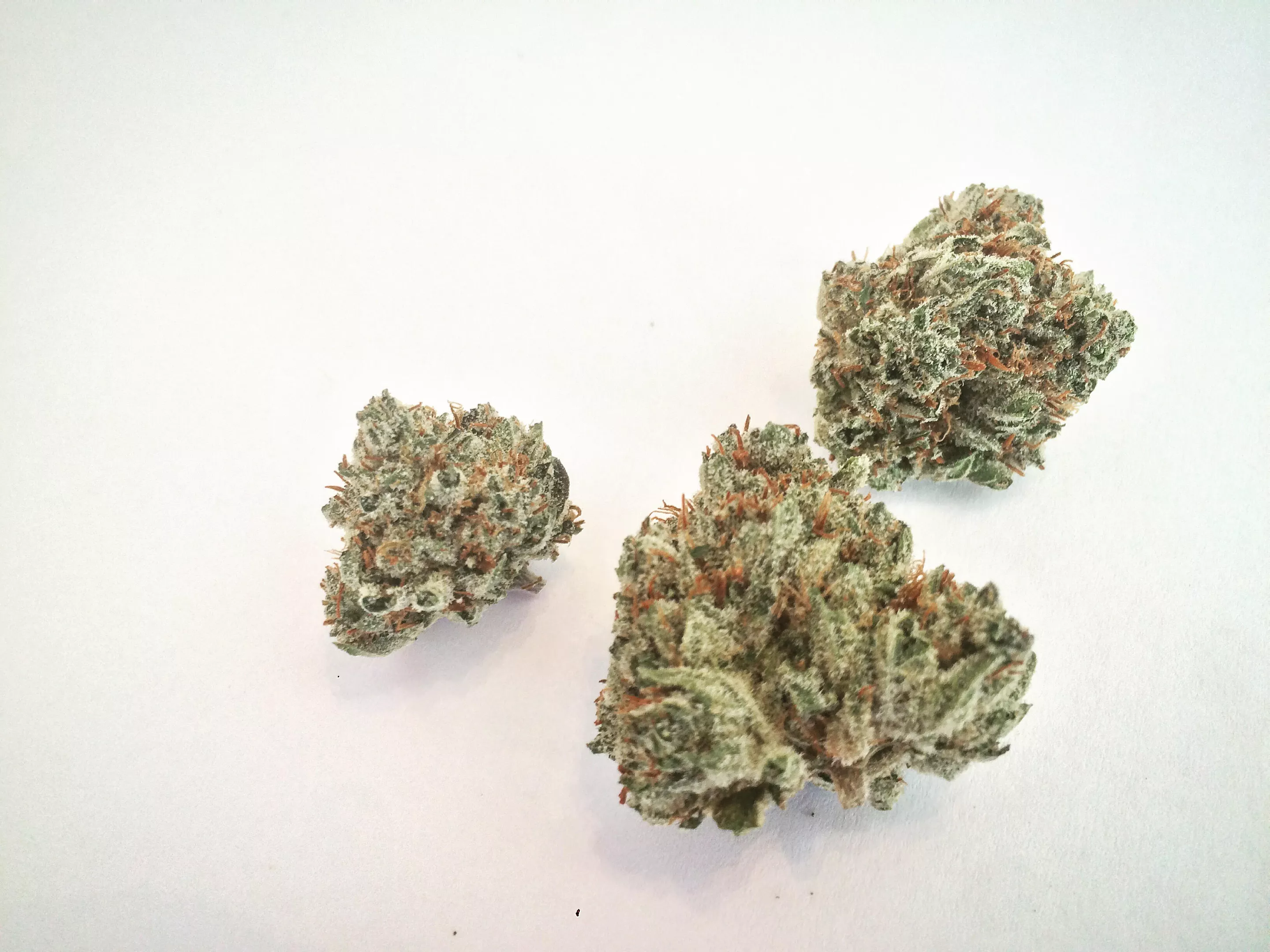 Deadhead OG: Why Colorado Tokers Love This Strain | Westword