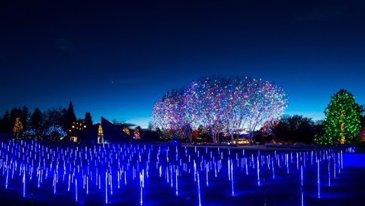 Blossoms of Light returns this month.