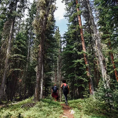 Allergens from evergeen trees in the mountains are coming next.