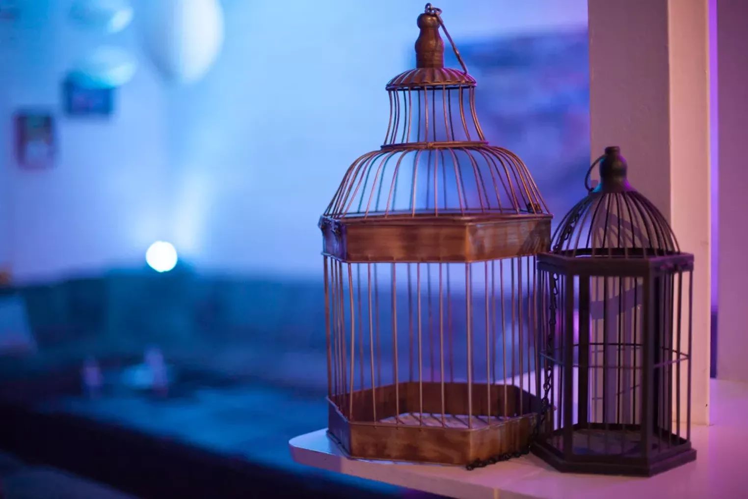 Private Pot Club Tetra 9 Creates a Spark in RiNo Westword