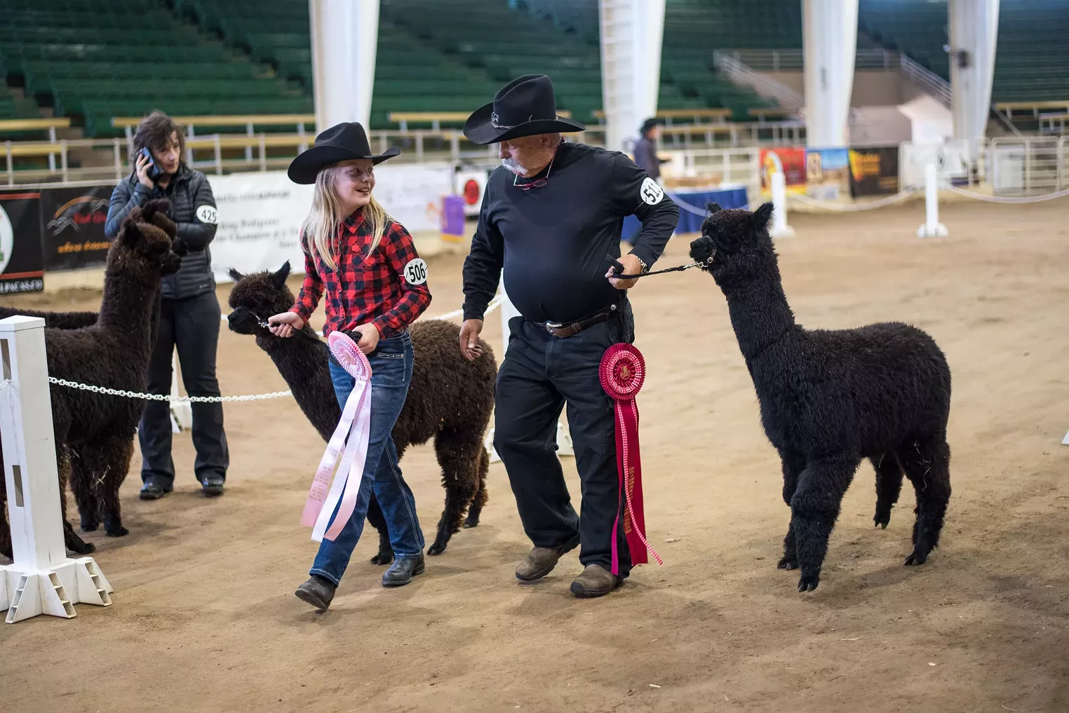 Photos Great Western Alpaca Show Is Back in Denver Westword