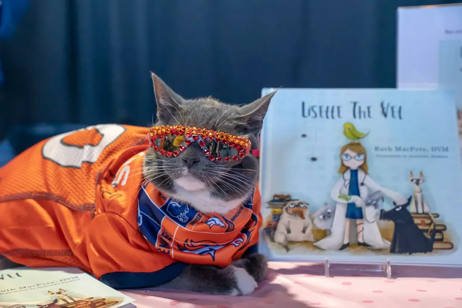 Photos Snowcats Cat Convention Comes to Denver Westword