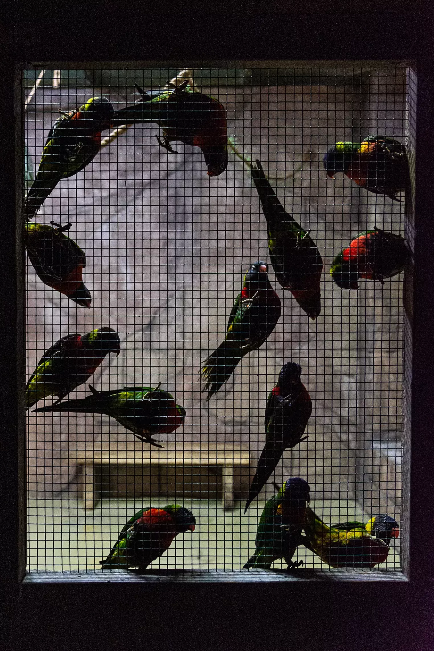 Inside the Controversial SeaQuest Littleton in Southwest Plaza Mall Westword