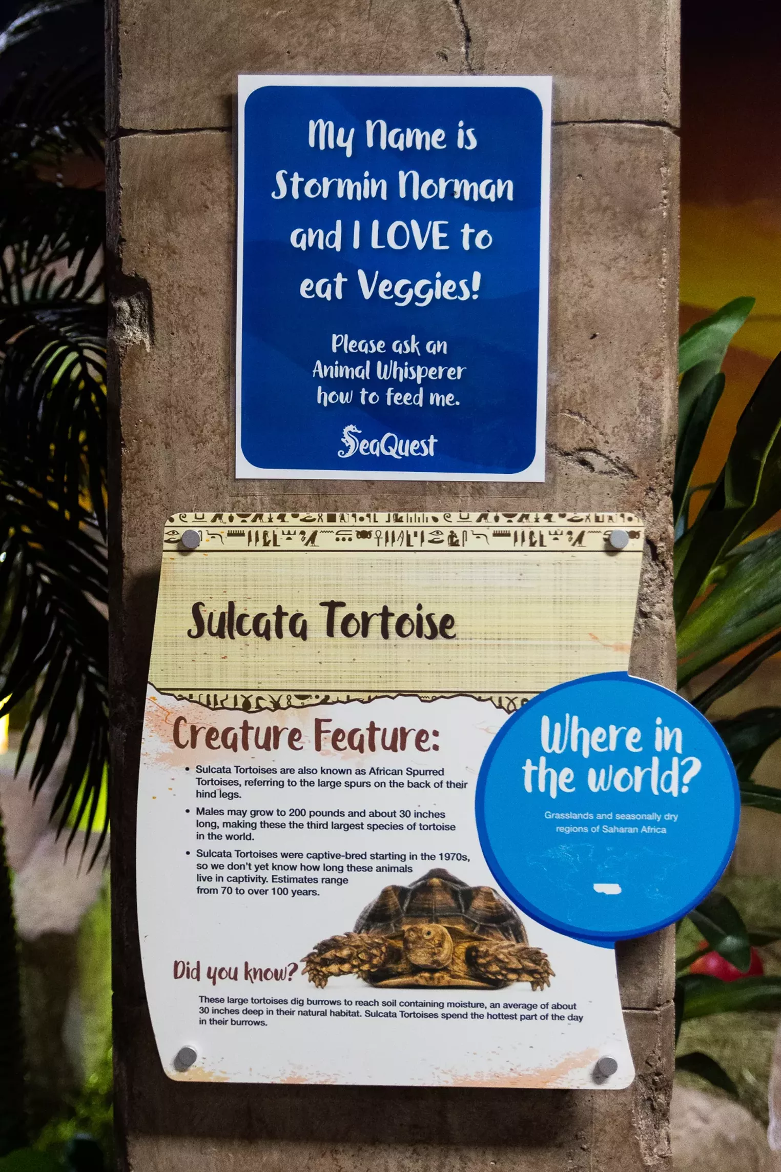 Inside the Controversial SeaQuest Littleton in Southwest Plaza Mall Westword