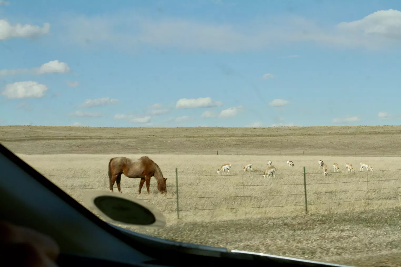 Explore El Paso County's Paint Mines Interpretive Park Westword