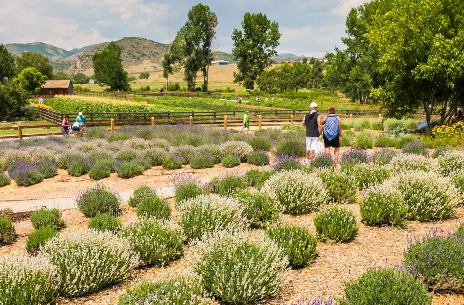 Ten Things to Do in and Around Denver This Weekend, July 15 to 18, 2021