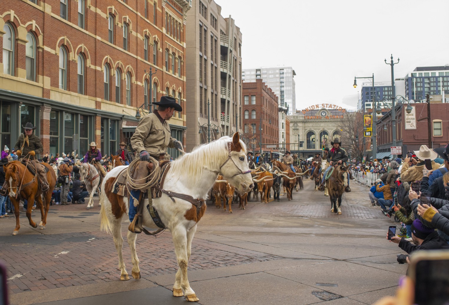 Back in the Saddle National Western Stock Show Parade Westword