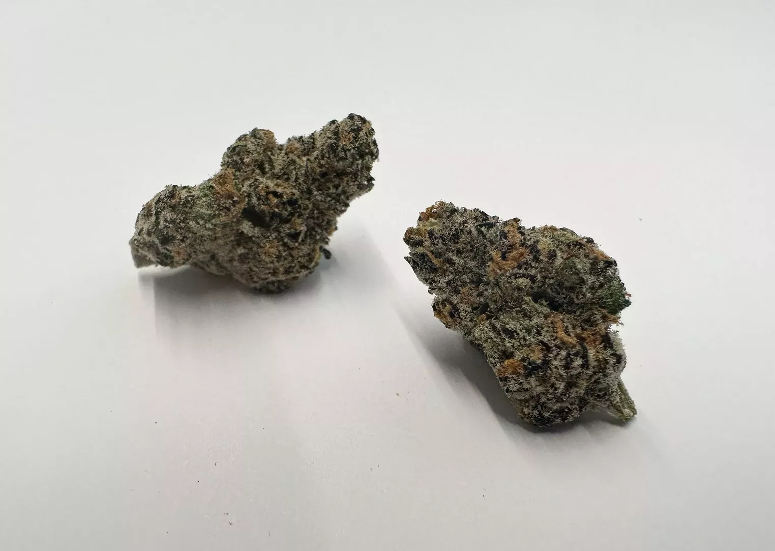 Sherbacio Strain Review Westword