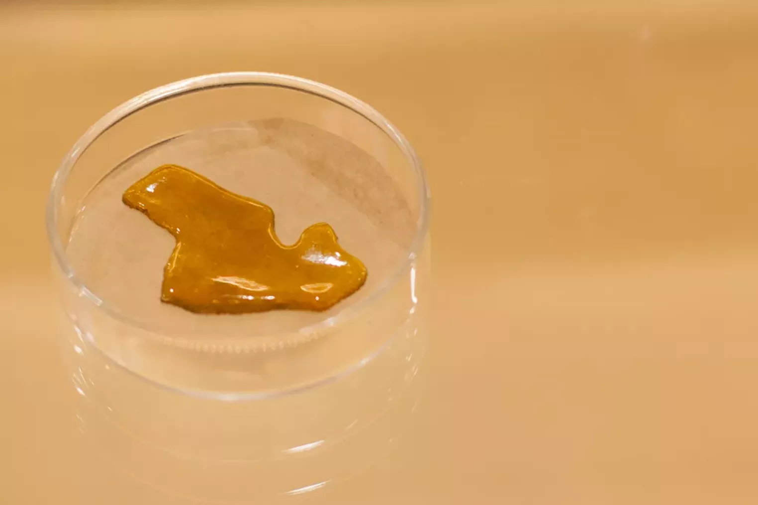 Where Is All the Good Wax and Shatter in Colorado? - Vimarsana News