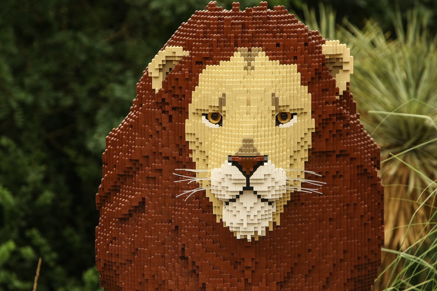 Denver Zoo Unveils Lego Sculptures | Denver | Denver Westword | The Leading  Independent News Source in Denver, Colorado