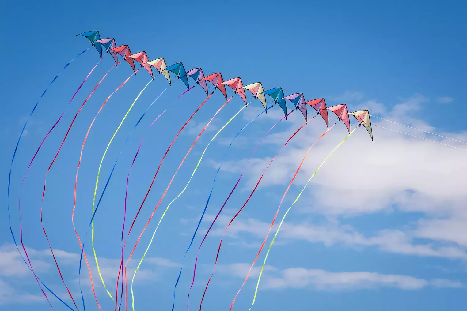 Tails Up at the Japanese Kite Flying Festival Denver Denver Westword The Leading